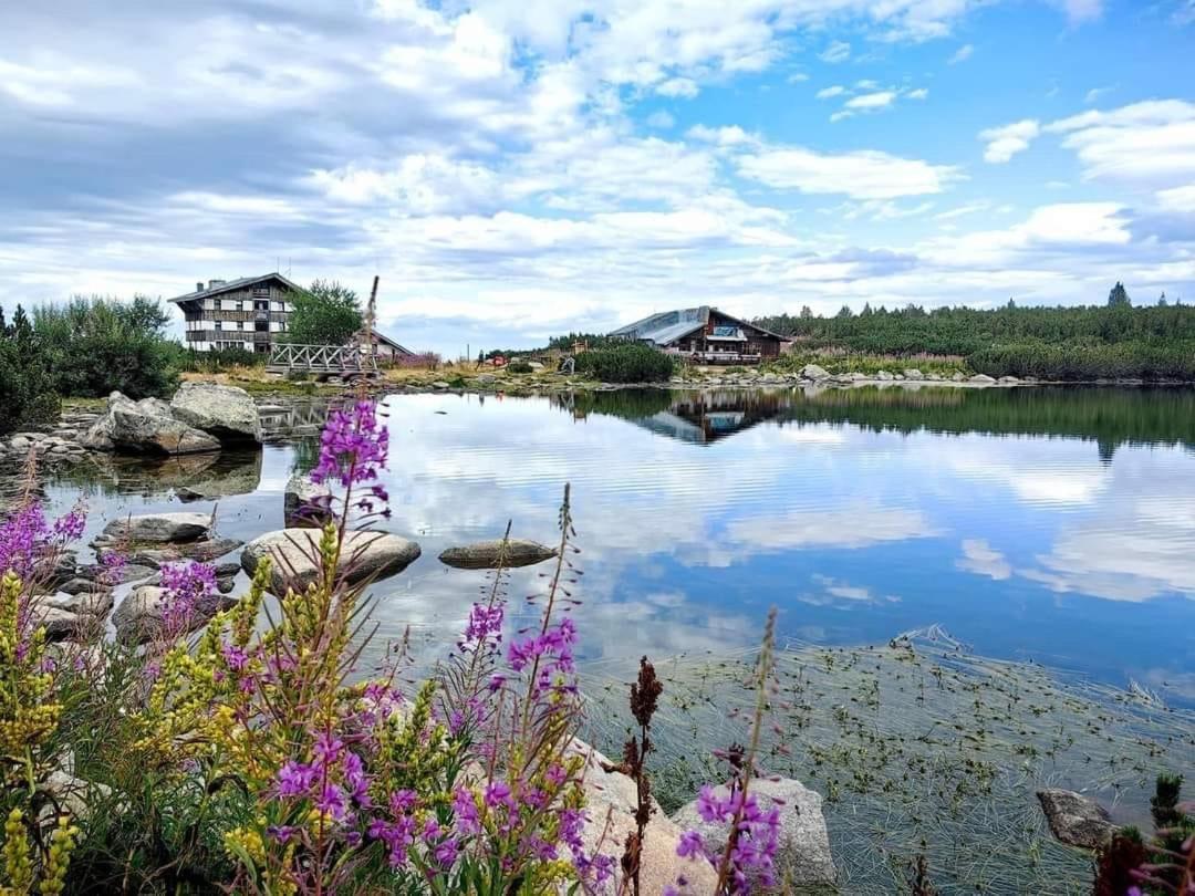 Alpine Lodge Bansko Apartments Eksteriør bilde
